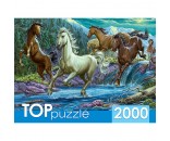 Пазл 2000 Ночной табун лошадей ХТП2000-1594